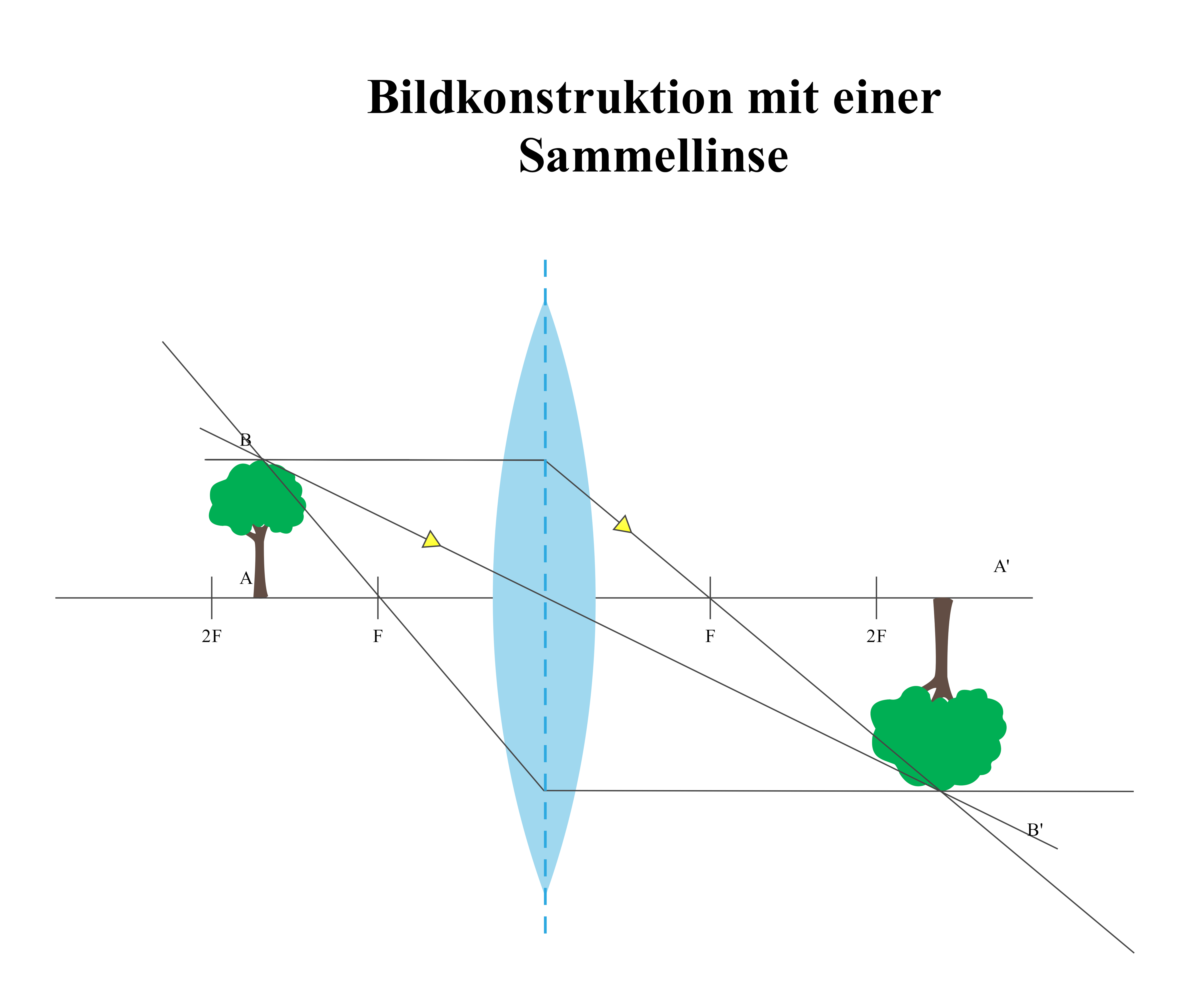 Bildkonstruktion mit Sammellinse