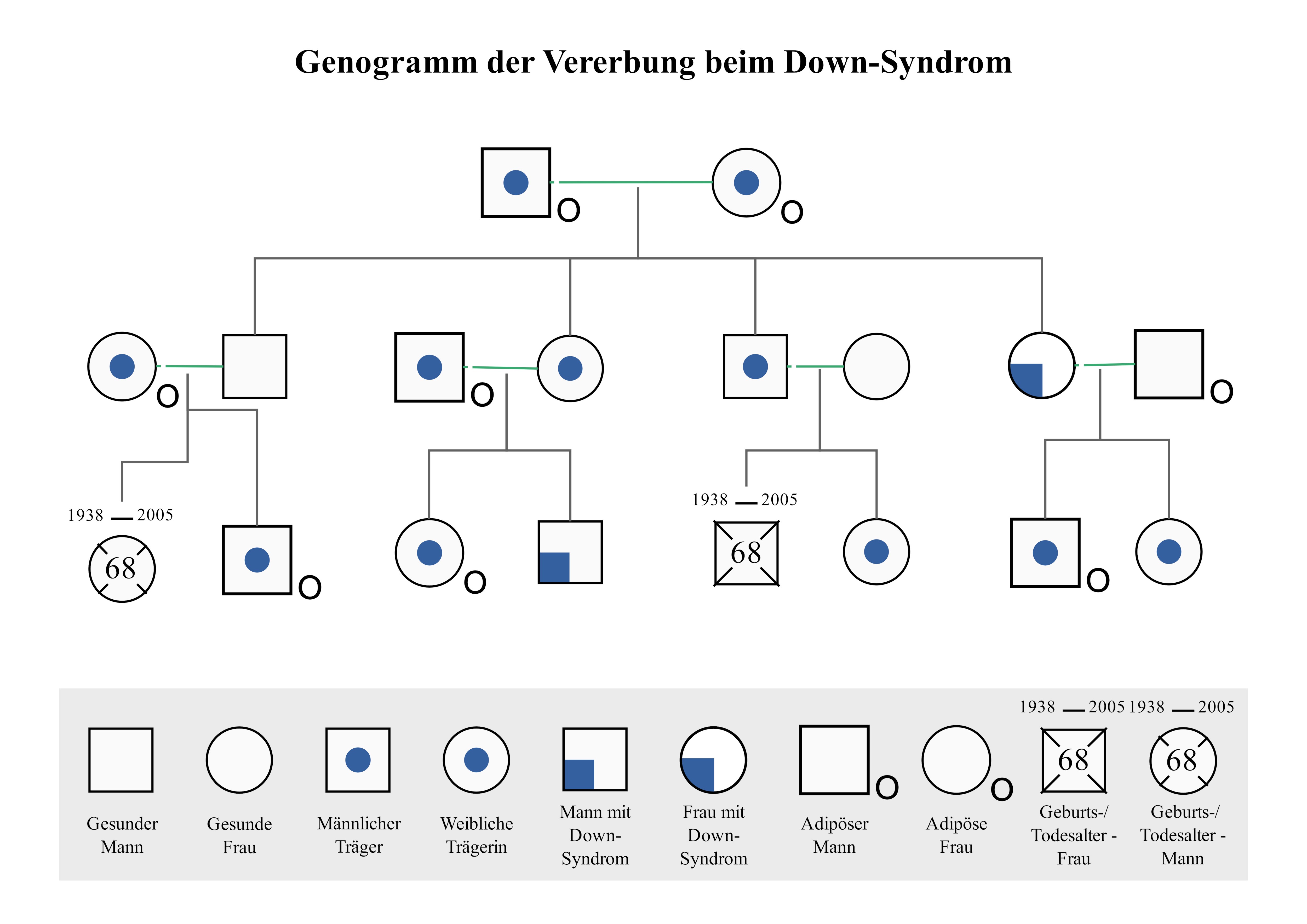 Genogramm der Vererbung beim Down-Syndrom