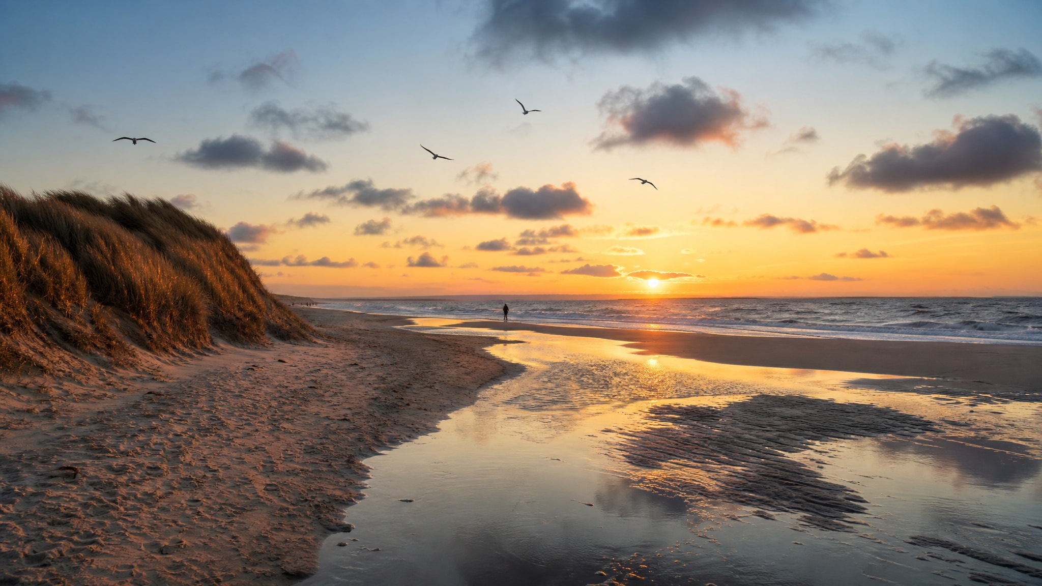 Goldener Sonnenuntergang über dem Nordseestrand mit Möwen am Himmel und vereinzelten Personen‑Silhouetten am Spülsaum – Symbolbild für Beach‑ und Sunset‑Reel an der deutschen Küste