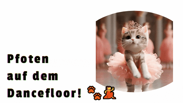 ai video filter: ki katze tanzen