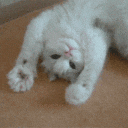 hallo gif lustig 02
