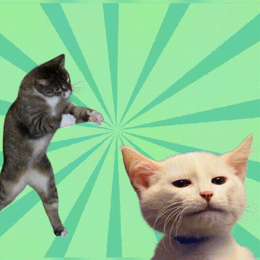 eigene lustige katze whatsapp sticker erstellen