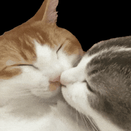 kuss gifs whatsapp 01