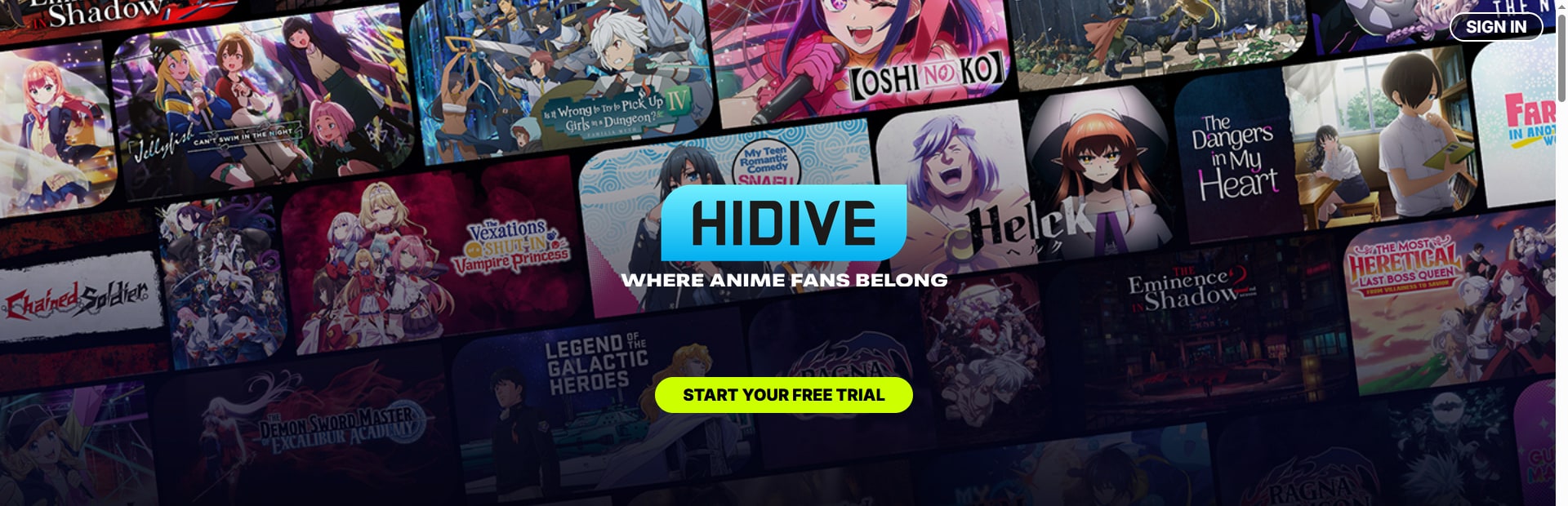 HIDIVE ist ein internationaler Anbieter, der sich durch exklusive Titel und schnelle Simulcasts auszeichnet.