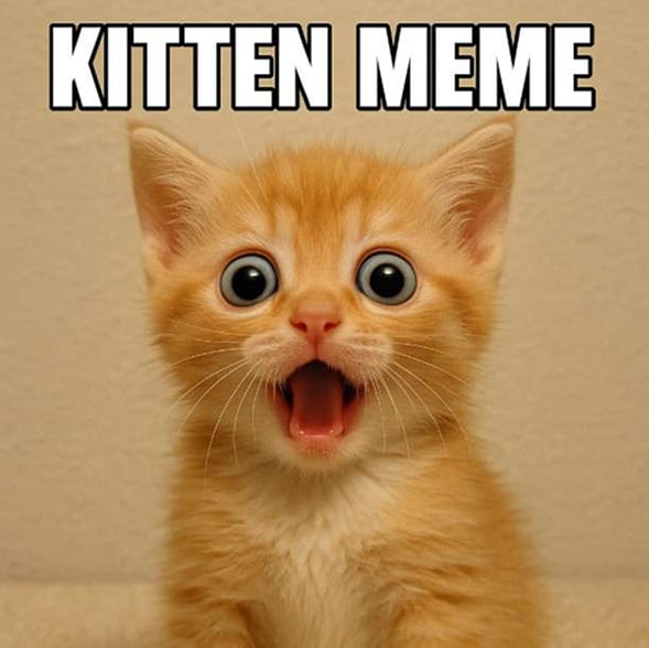 ki katze meme erstellen