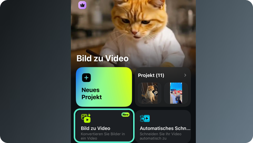 ki katze video erstellen schritt 1
