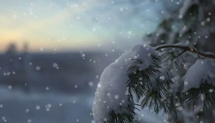 Professioneller Schneefall Effekt Beispiel