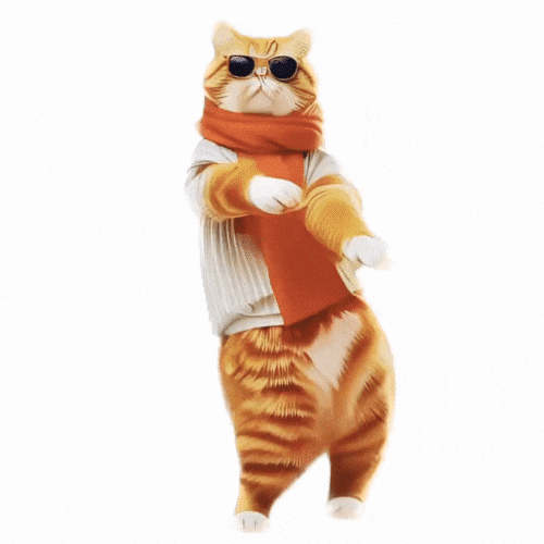ki katze lustige video