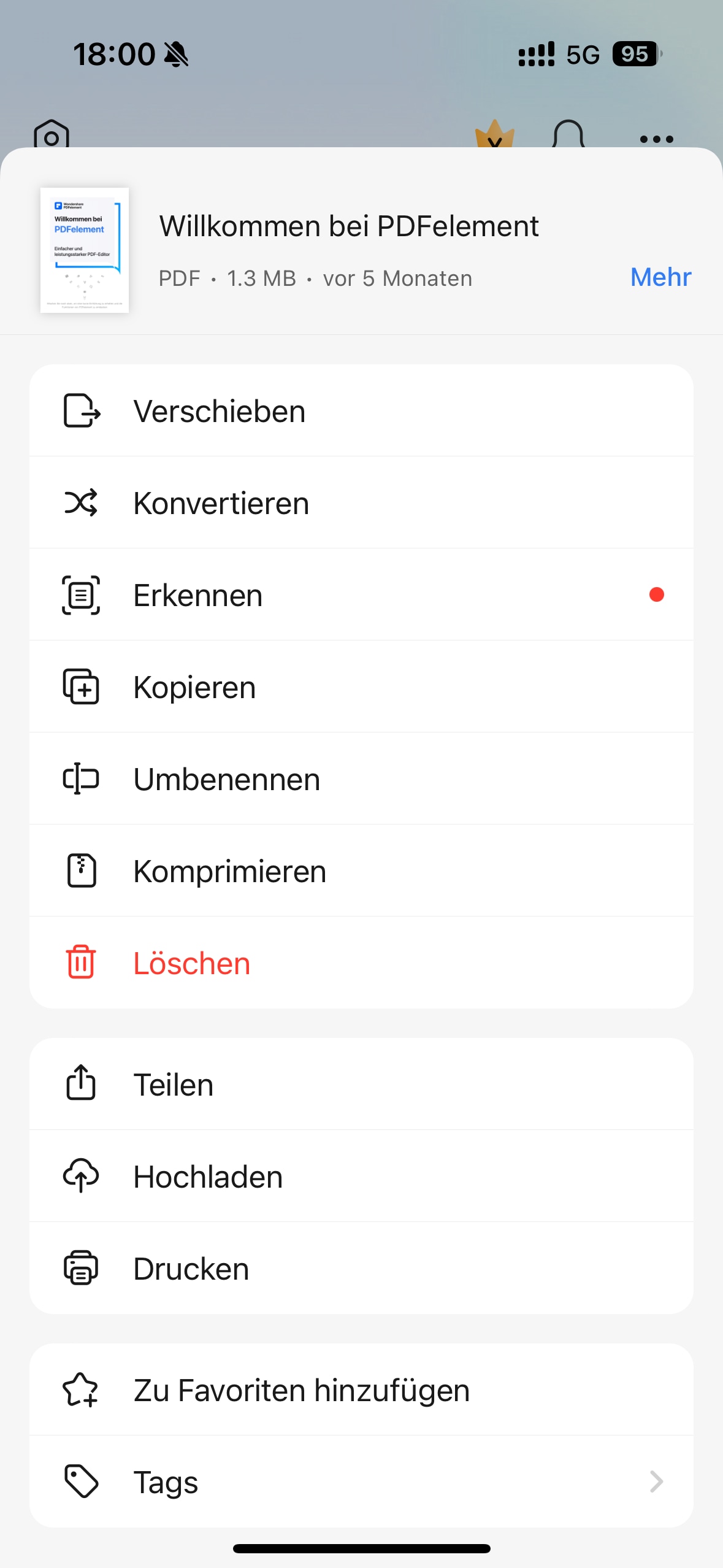 Klicken Sie im Menü "Aktionen" auf "Konvertieren". Daraufhin öffnet sich ein neues Menü mit Dateioptionen für alle Dateitypen, in die Sie Ihr Dokument konvertieren können. 