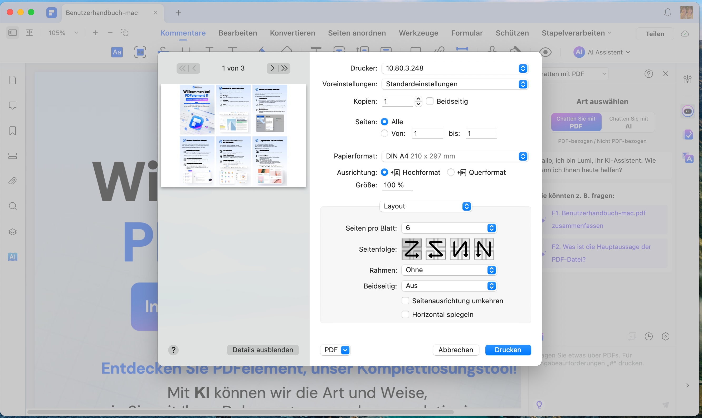 Im Druckdialog rechts neben der Druckvorschau sehen Sie mehrere Optionen, mit denen Sie die Parameter des Druckauftrags steuern können.