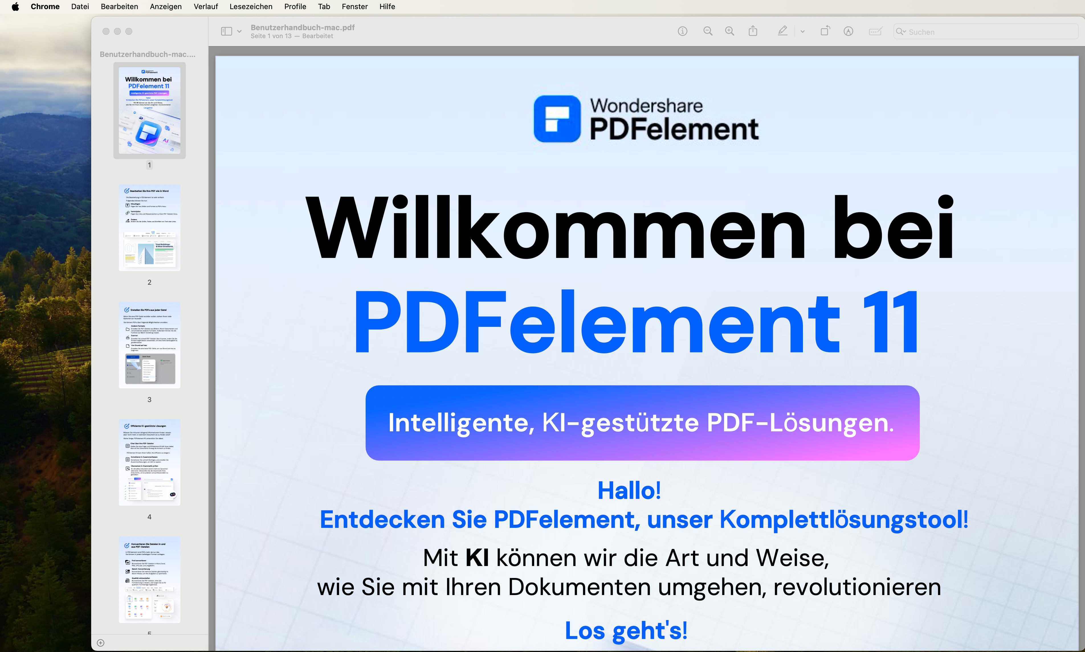 Starten Sie Vorschau und öffnen Sie Ihr PDF-Dokument.