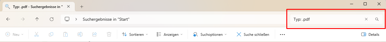 Geben Sie im Suchfeld oben rechts auf dem Bildschirm "Typ: .pdf" ein - erneut ohne Anführungszeichen - und drücken Sie die Eingabetaste. 