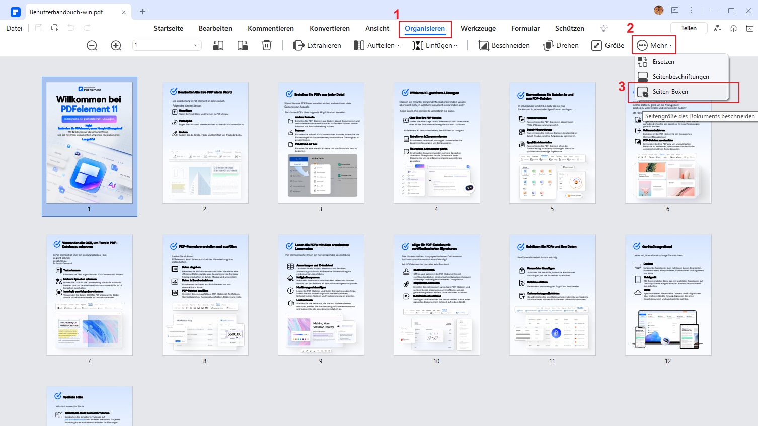 Nachdem die PDF-Datei nun erfolgreich hochgeladen wurde, müssen Sie Ihre Seiten organisieren. Gehen Sie zum Abschnitt Organisieren in der Werkzeugleiste. Klicken Sie im Untermenü auf die Schaltfläche Mehr, Seiten-Boxen.