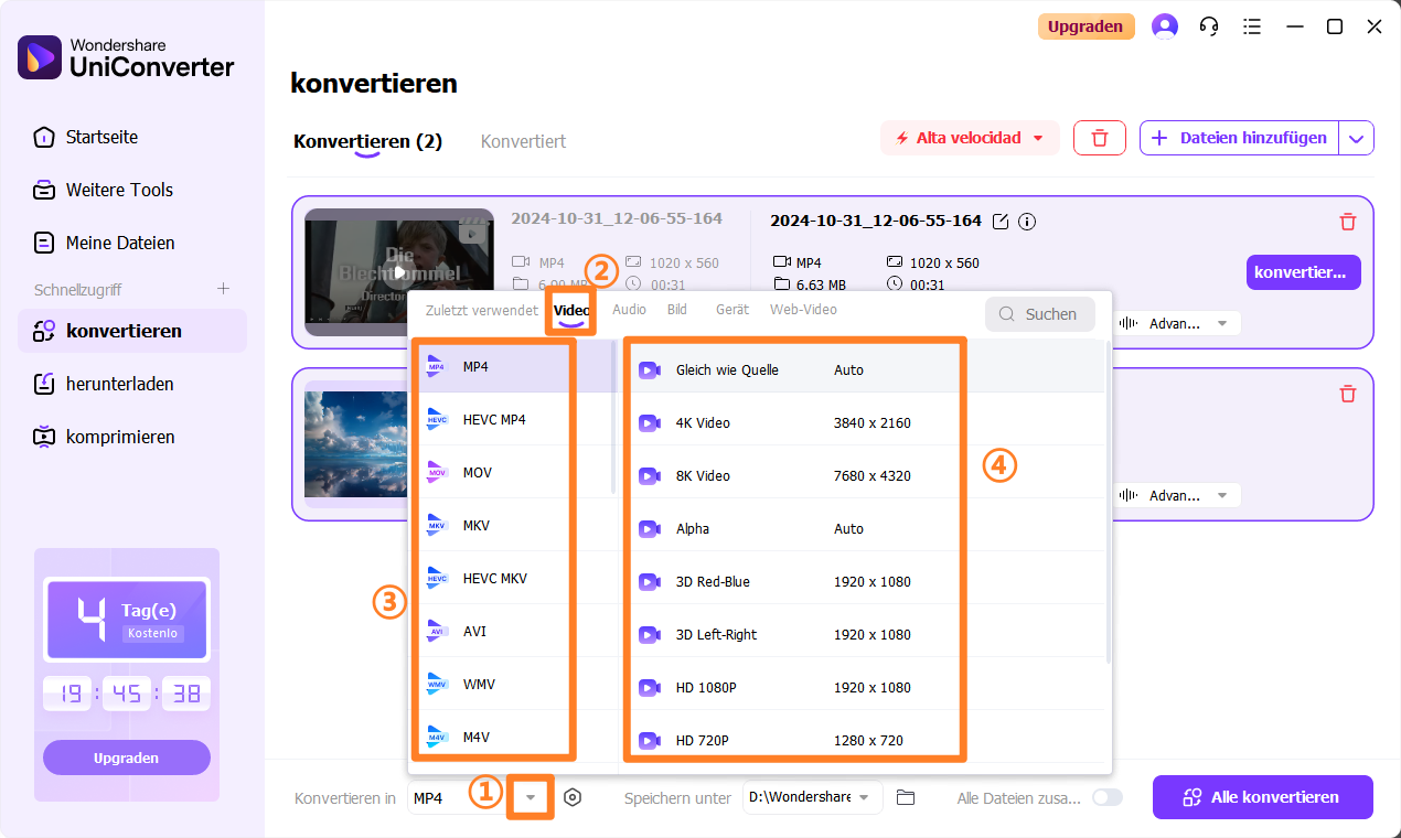 converter mkv to mp4: Ausgabeformat auswählen