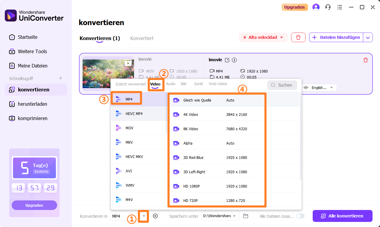 Videoformat auswählen