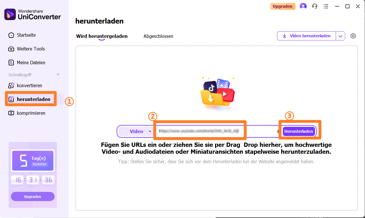 Mit dem besten Video Converter kann man online Videos herunterladen