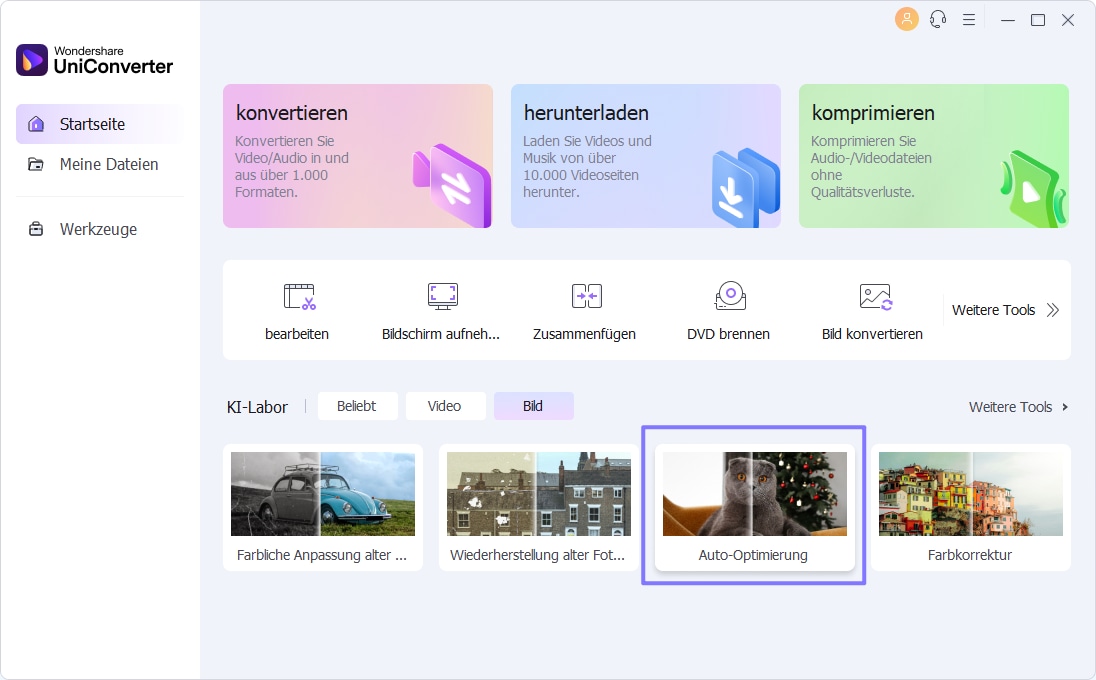 Betreten Sie die Auto-Optimierung