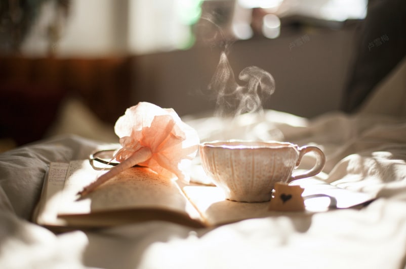 Guten Morgen Sonntag Bild auf Unsplash