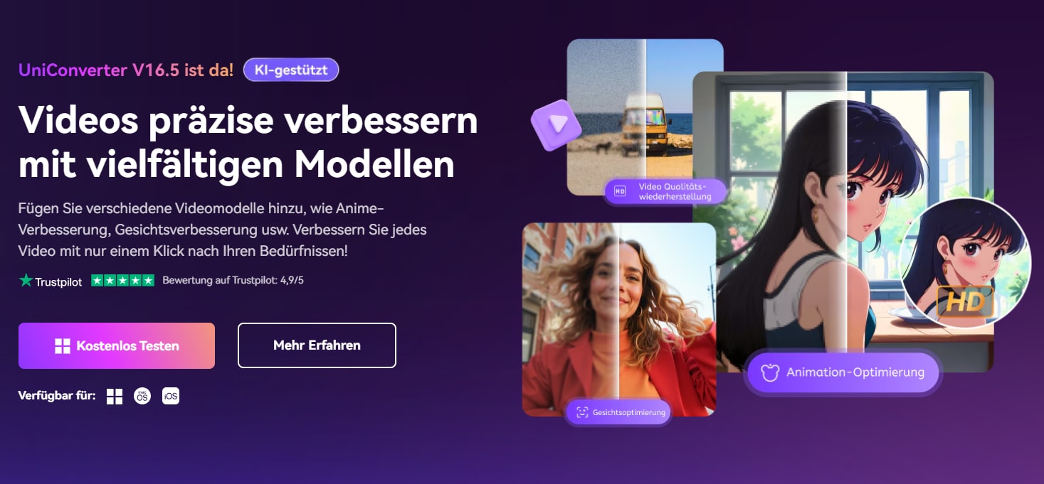 UniConverter für Labubu Bilder