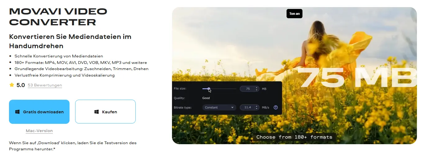 Alternative zu MakeMKV: Movavi Video Converter