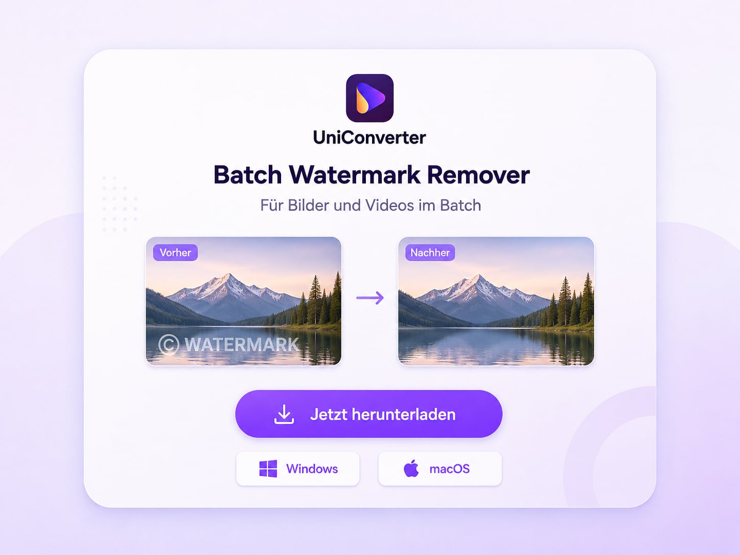 UniConverter Batch Watermark Remover für Bilder und Videos